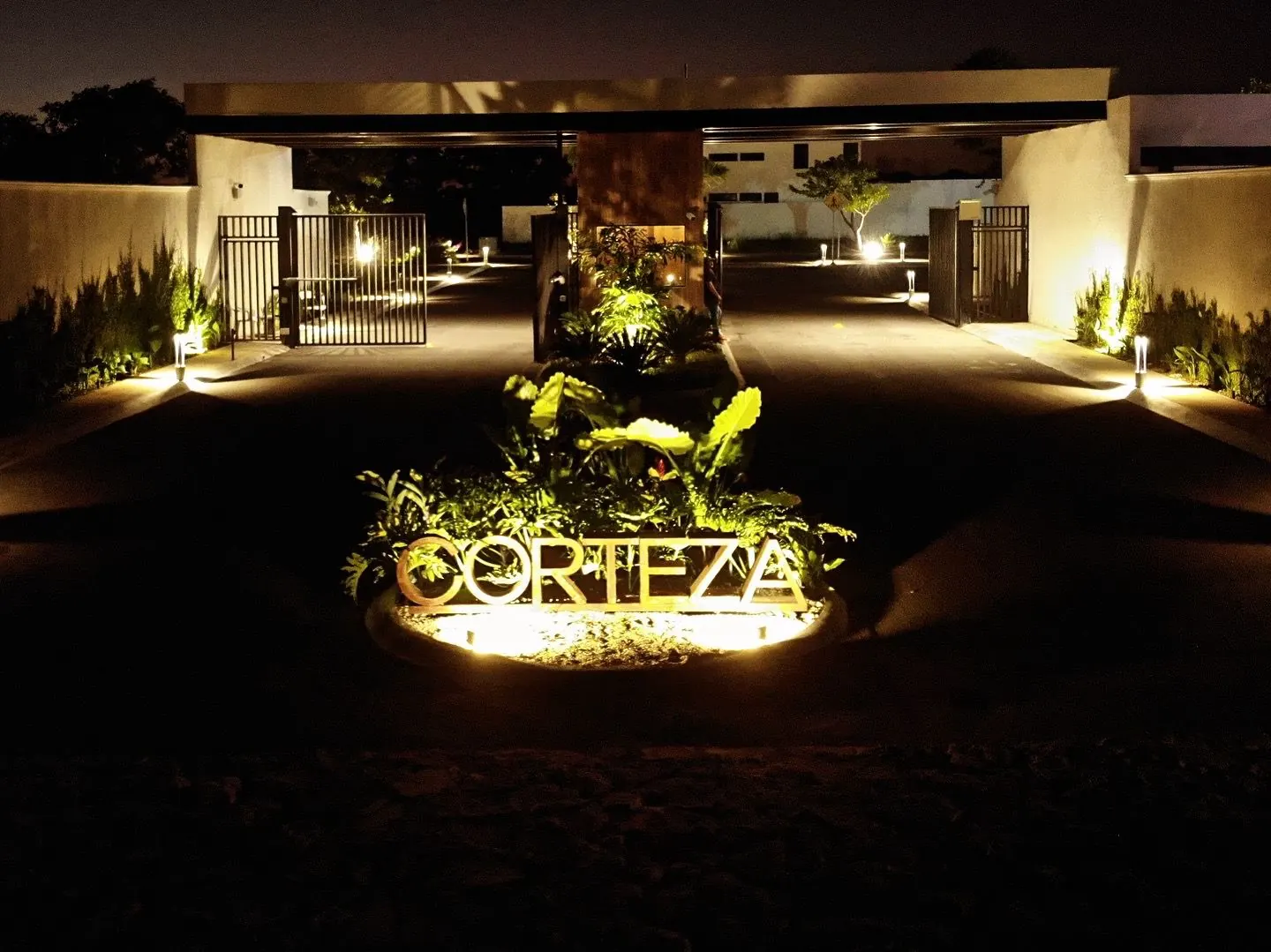 CORTEZA · Photo 4 of 6
