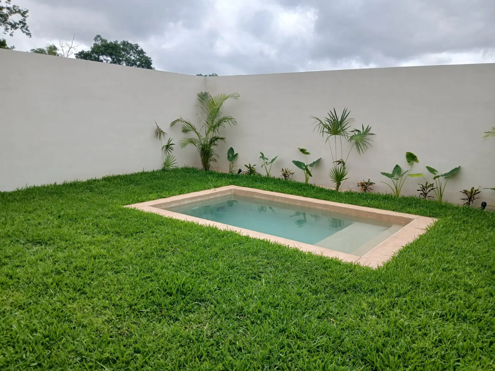 Fulgora · Photo 2 of 10