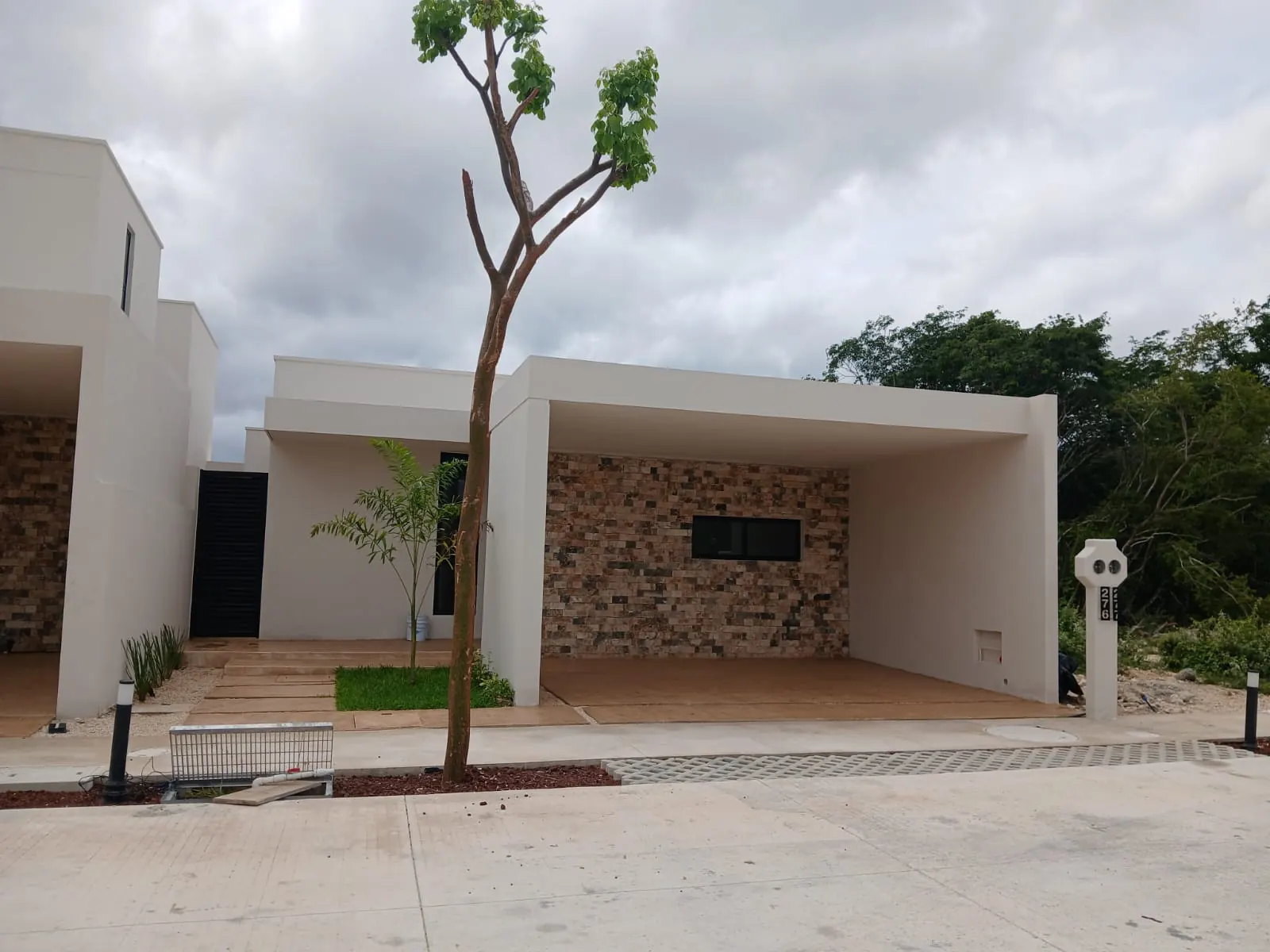Fulgora · Photo 6 of 10