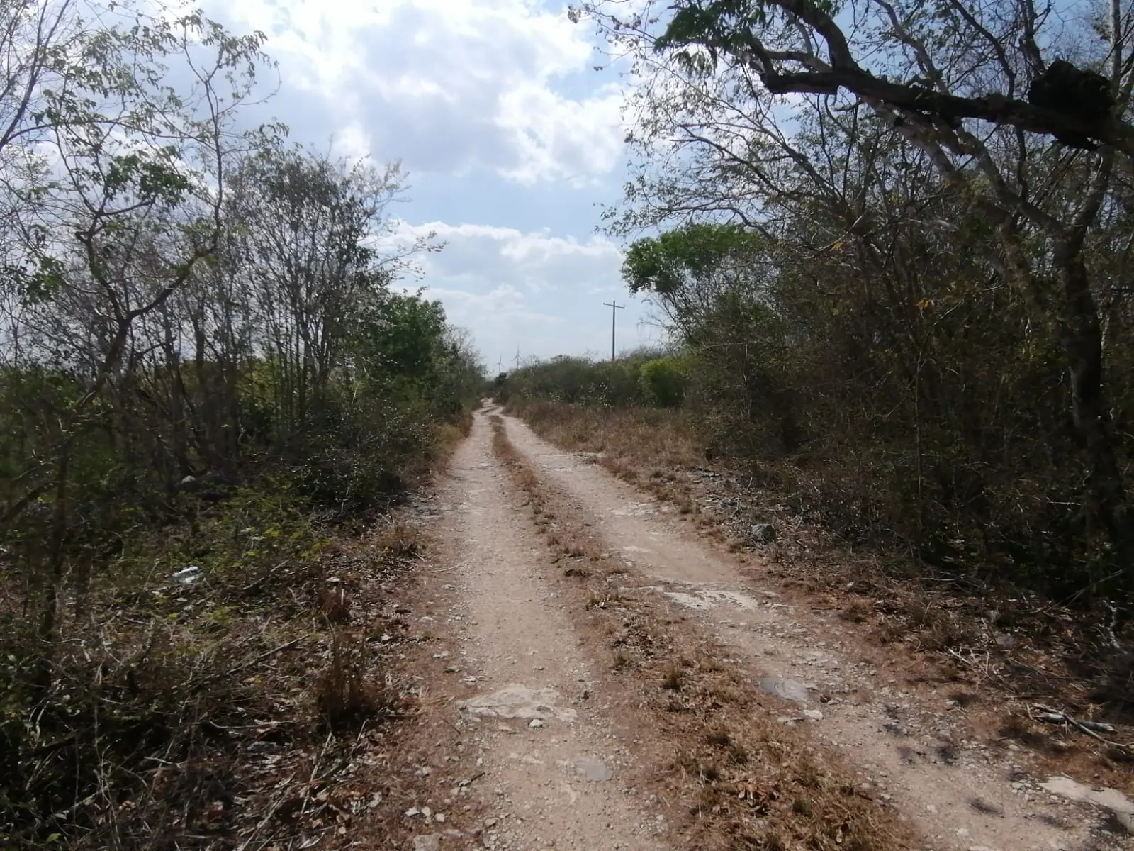 Foto 2 de 4