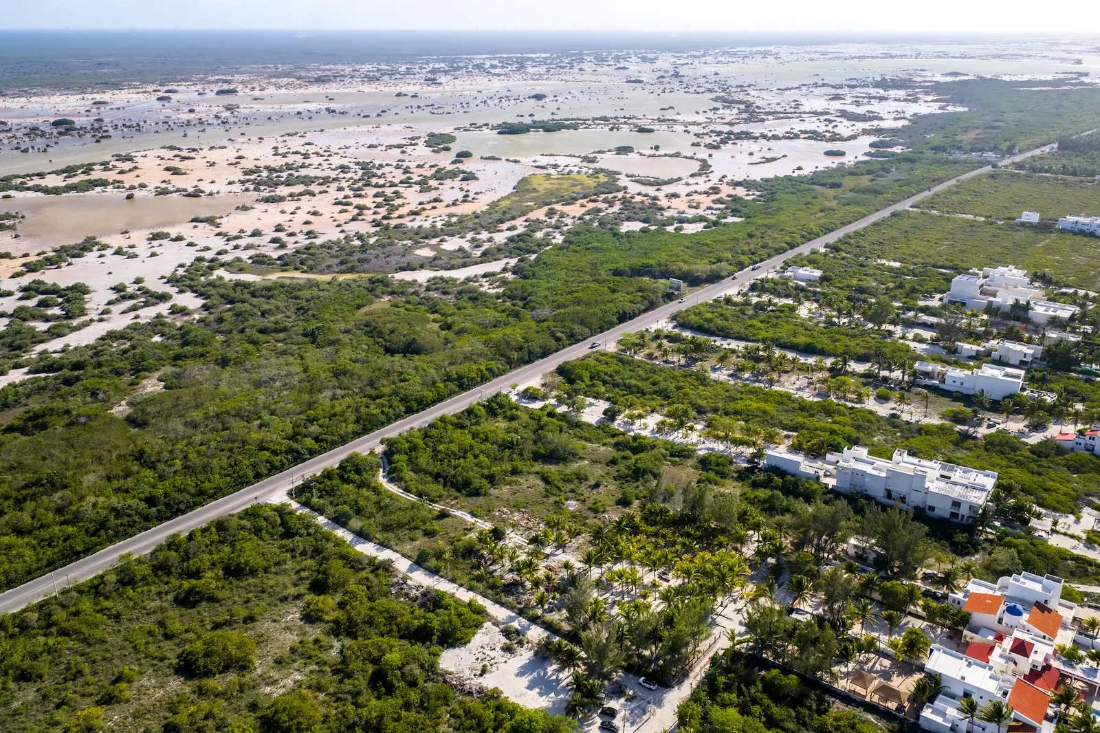 Foto 4 de 4